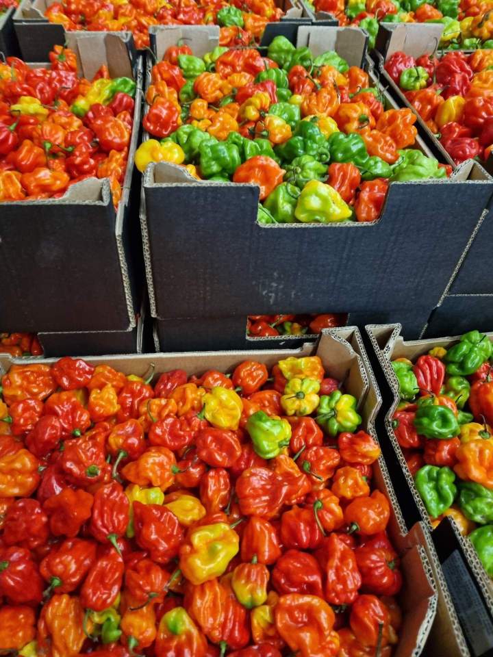 Vente piments exotiques en Île-de-France