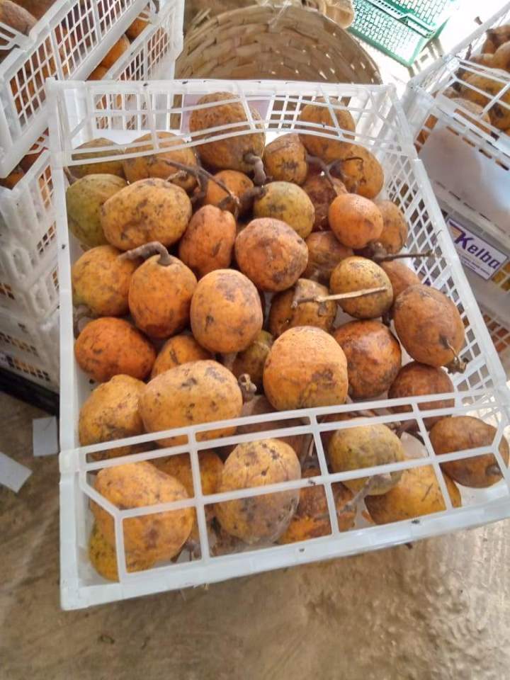 Grossiste fruits africains en Île-de-France