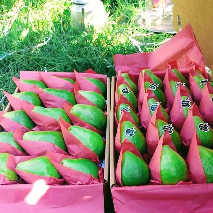 Vente fruits tropicaux Île-de-France