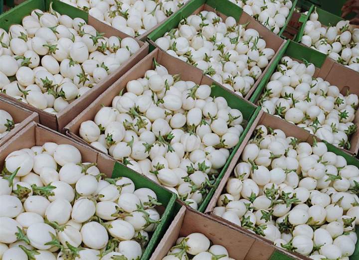 Livraison légumes originaires d'Afrique en Île-de-France