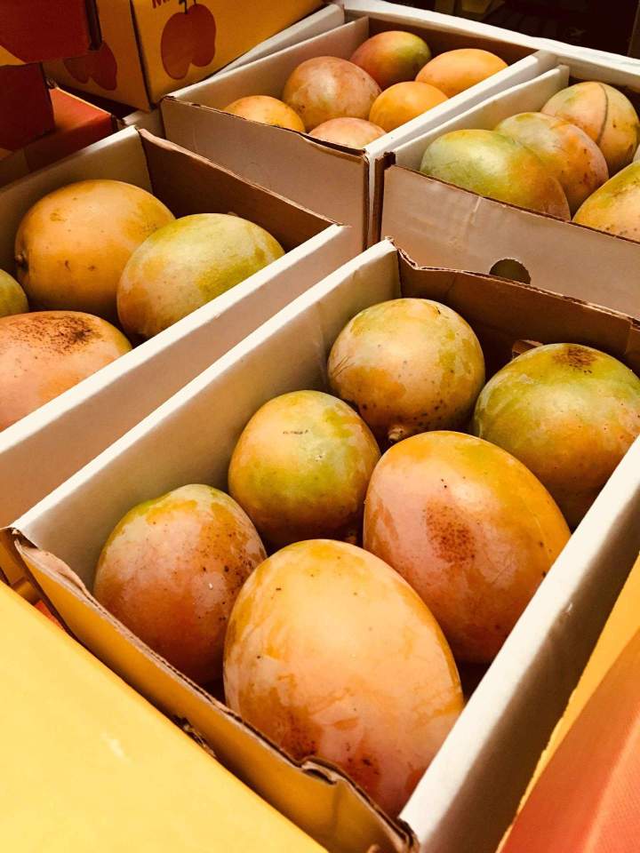 Import export fruits tropicaux Île-de-France