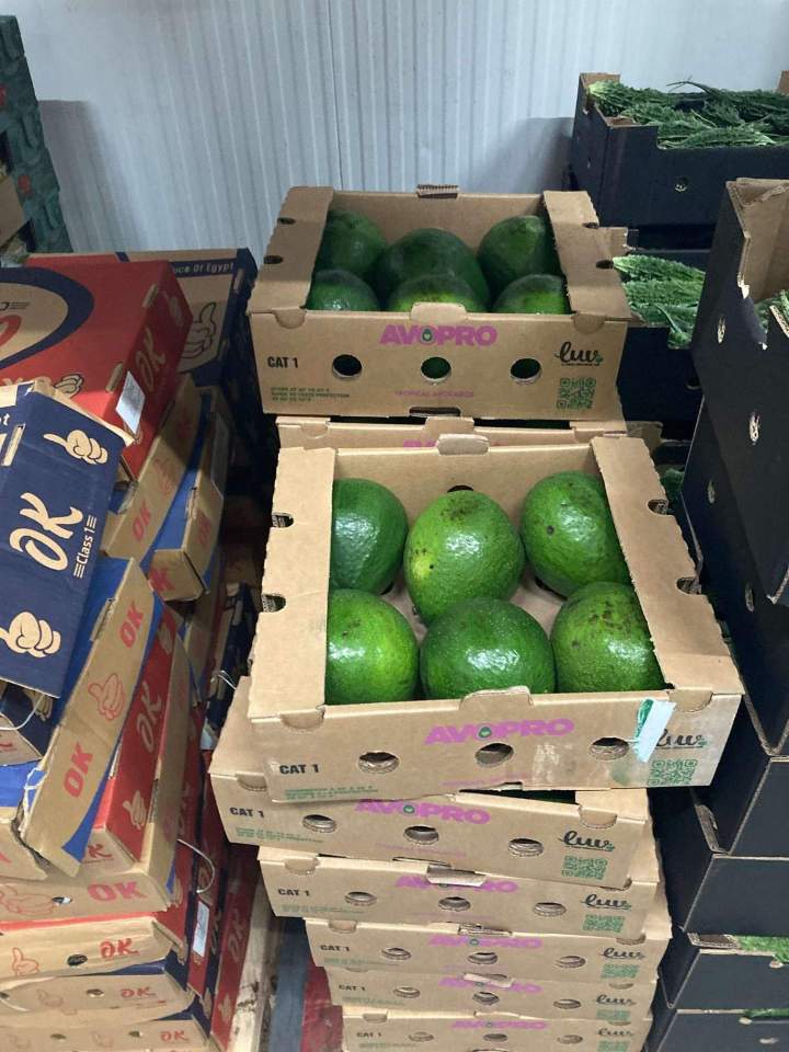 Distribution avocats Île-de-France