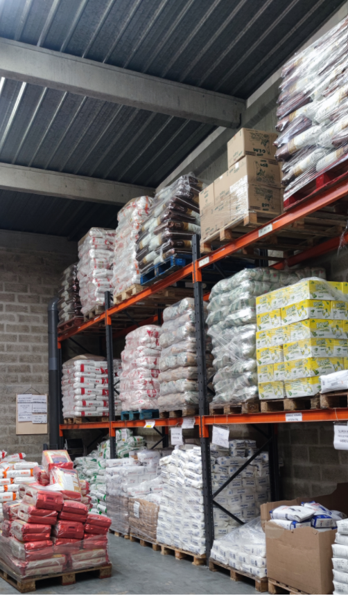 Capture d’écran 2026 02 13 121804