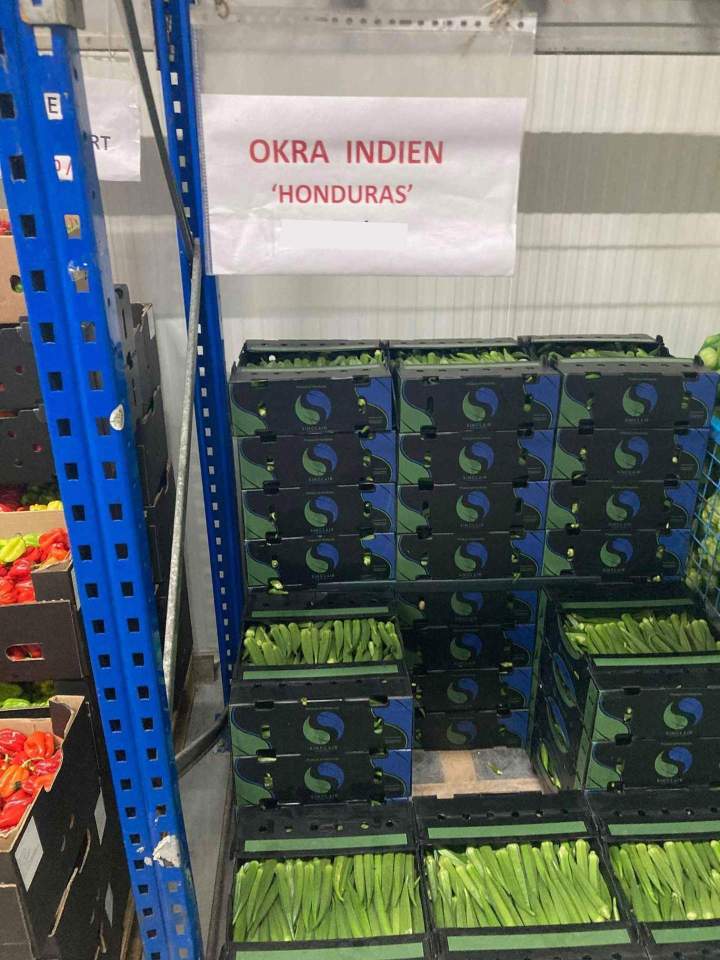 Grossiste Okra Indien Île de France