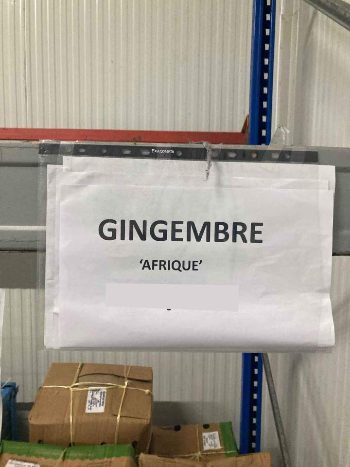 Grossiste gingembre Afrique Île de France
