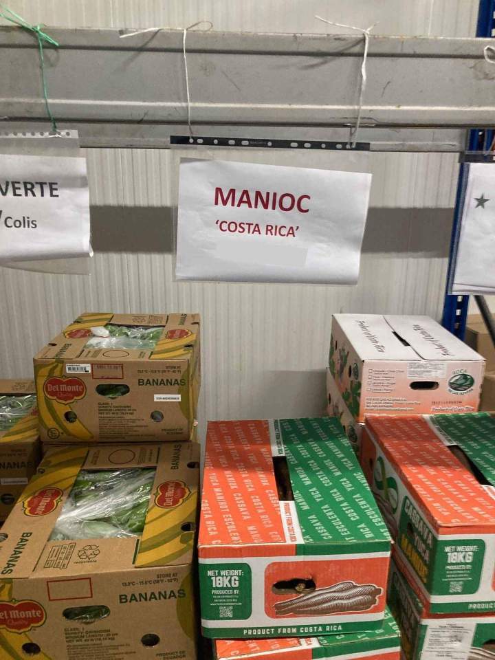 Grossiste manioc Île de France