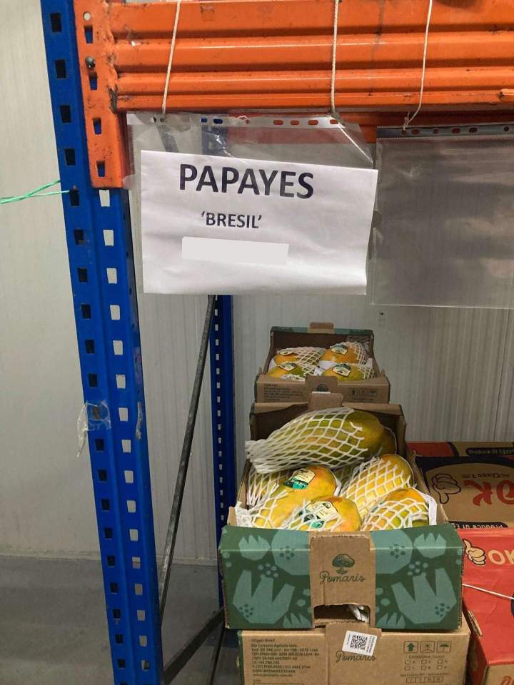 Grossiste papayes Brésil Île de France