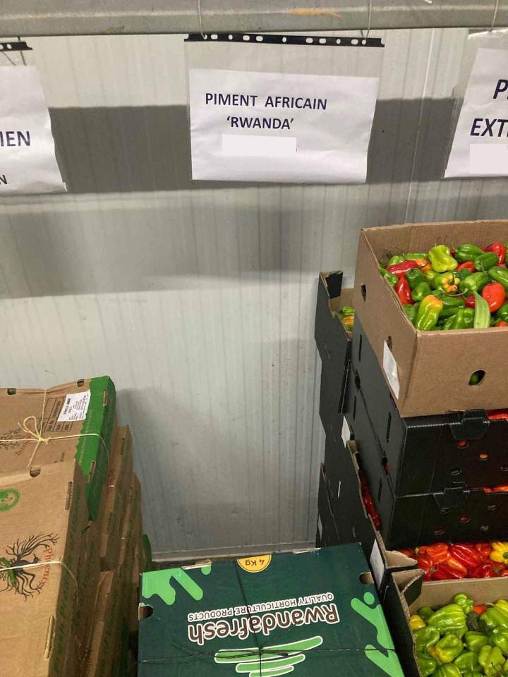 Grossiste piment Île de France