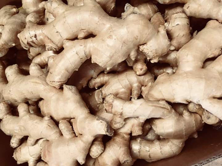 Grossiste gingembre en Île-de-France