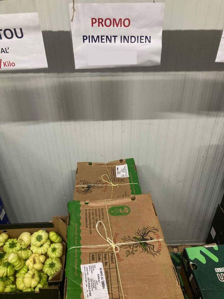 Marchand piment Indien Île de France