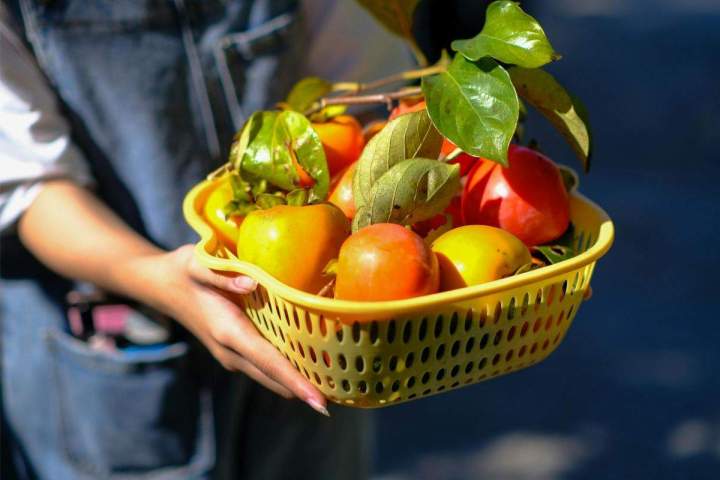 Livraison fruits et légumes au Bourget