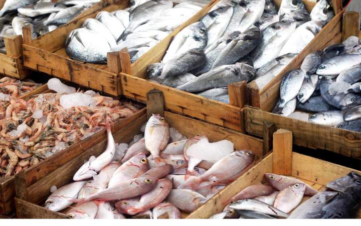 Vente poissons frais Île-de-France